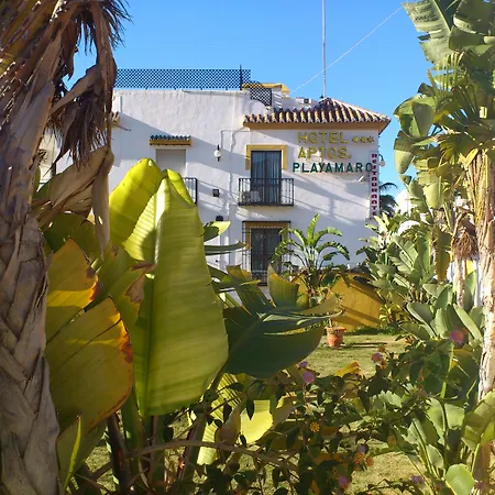 Playamaro Маро