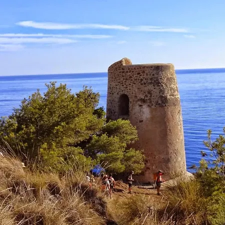 Отель Playamaro